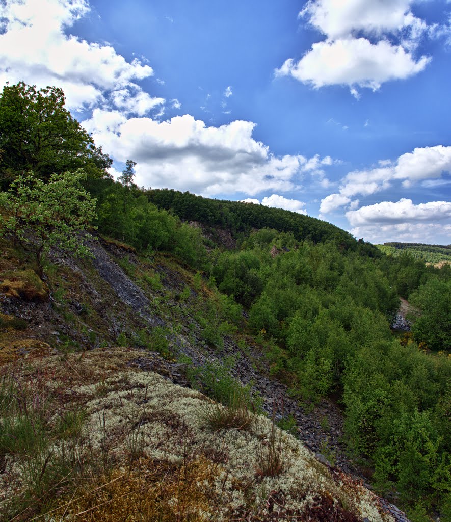 Vue des Carrières a Cahay by Warnotte R.