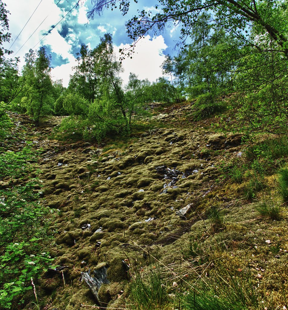 Vue des Carrières a Cahay by Warnotte R.