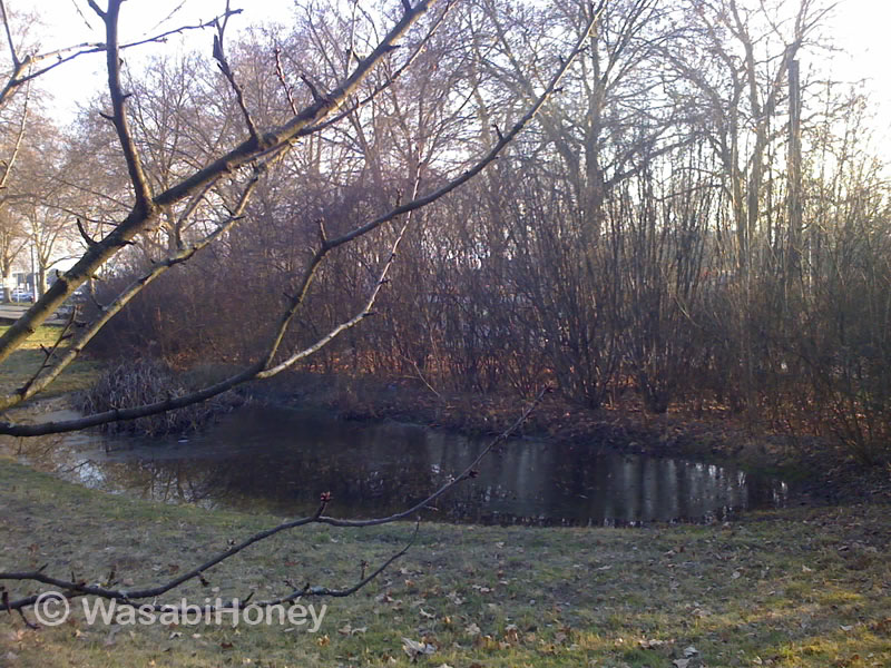 4 seasons on the little pond - Autumn by WasabiHoney