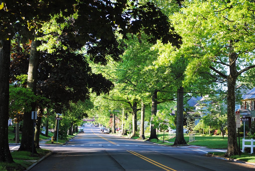 View down Chesnut Street by Watchung MountainMan