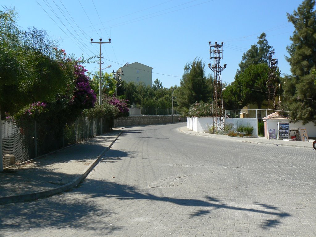 Road near Sidelya Village by vyanchak