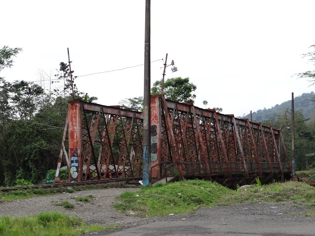 Puente del ferrocarril sobre el Rio Siquirres by Gino Vivi