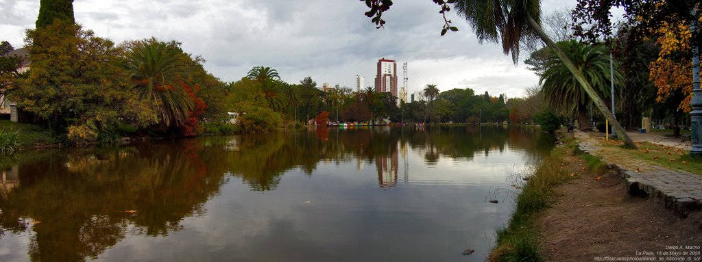 Panorama bosque by Diego A. Marino