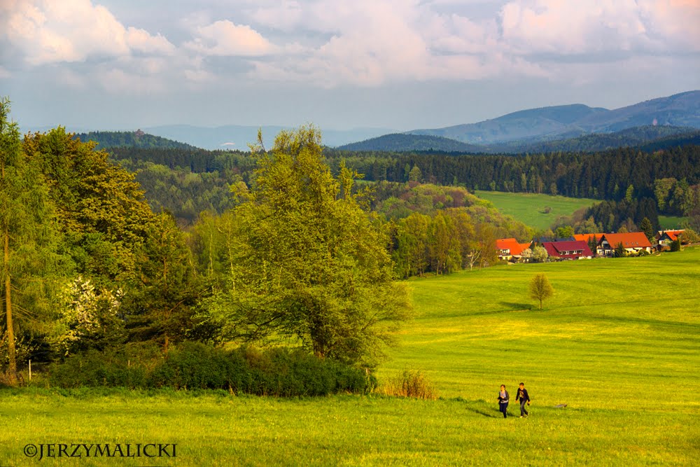 Zittau Mountains Nature Park by Jerzy Malicki