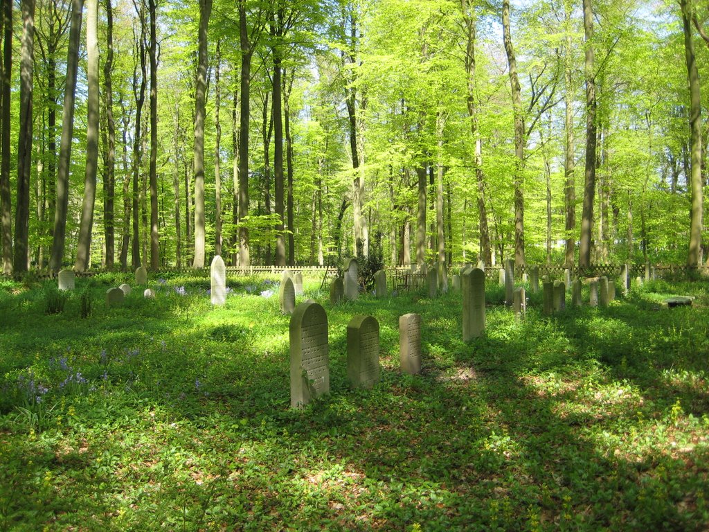 Cuxhaven-Sahlenburg - Jüdischer Friedhof (etwa 60-80 Grabsteine zwischen dem Anfang des 19. und dem ersten Drittel des 20. Jahrhunderts)( by Robert-68