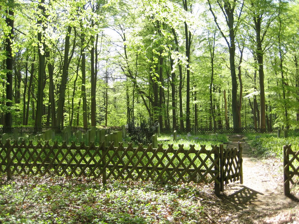 Cuxhaven-Sahlenburg - Brockeswald - Zugang zum Jüdischer Friedhof by Robert-68