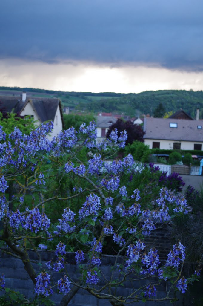 Arbre bleu sous l'Orage by galupe78