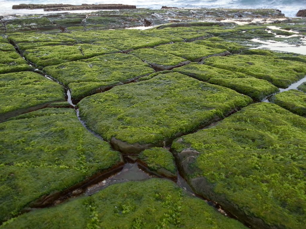 Merewether Rock Tiles by thebaggins