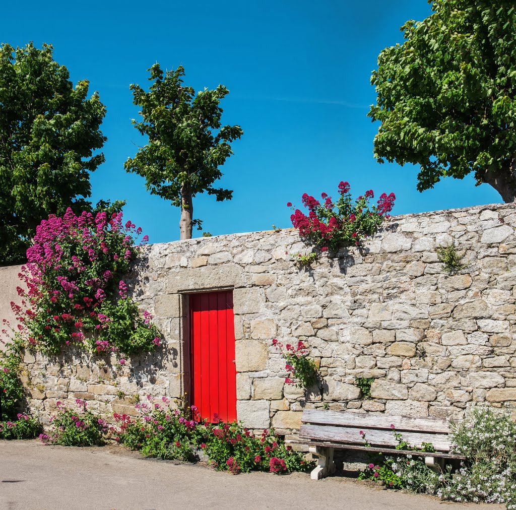 Ile de Batz - Mur fleuri by Guy Chatelain