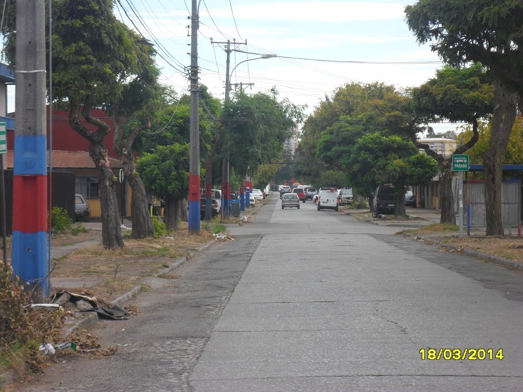 Calle Manuel Gutiérrez, visto desde Ainavillo hacia Paicaví, en Barrio Norte. by fotomau84