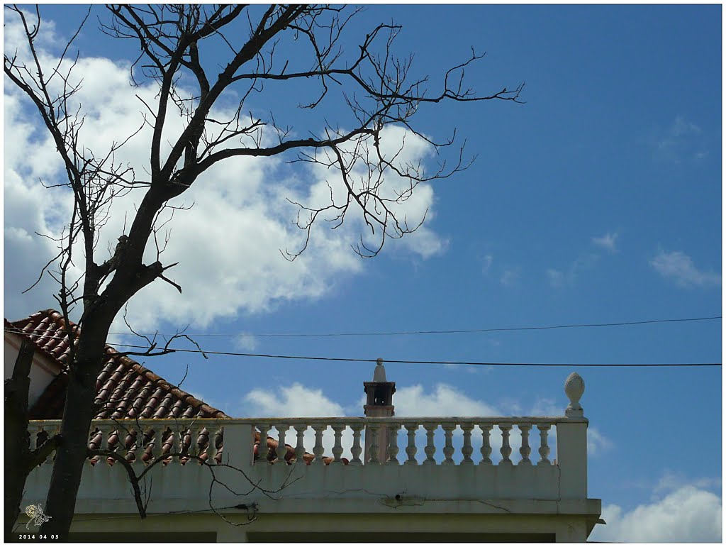 Sobreda - detalhes - Portugal .τ®√ℓΞΛج by jlcabaço (TravelJLC.)