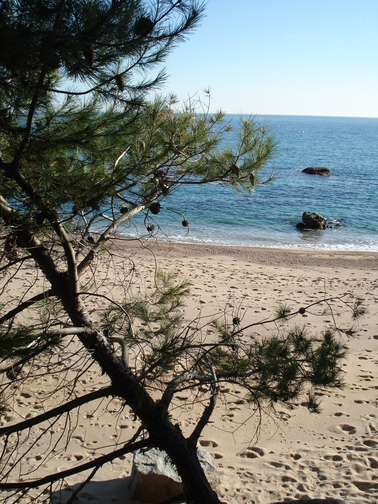 Blanes cala by minacoco_44@hotmail.…