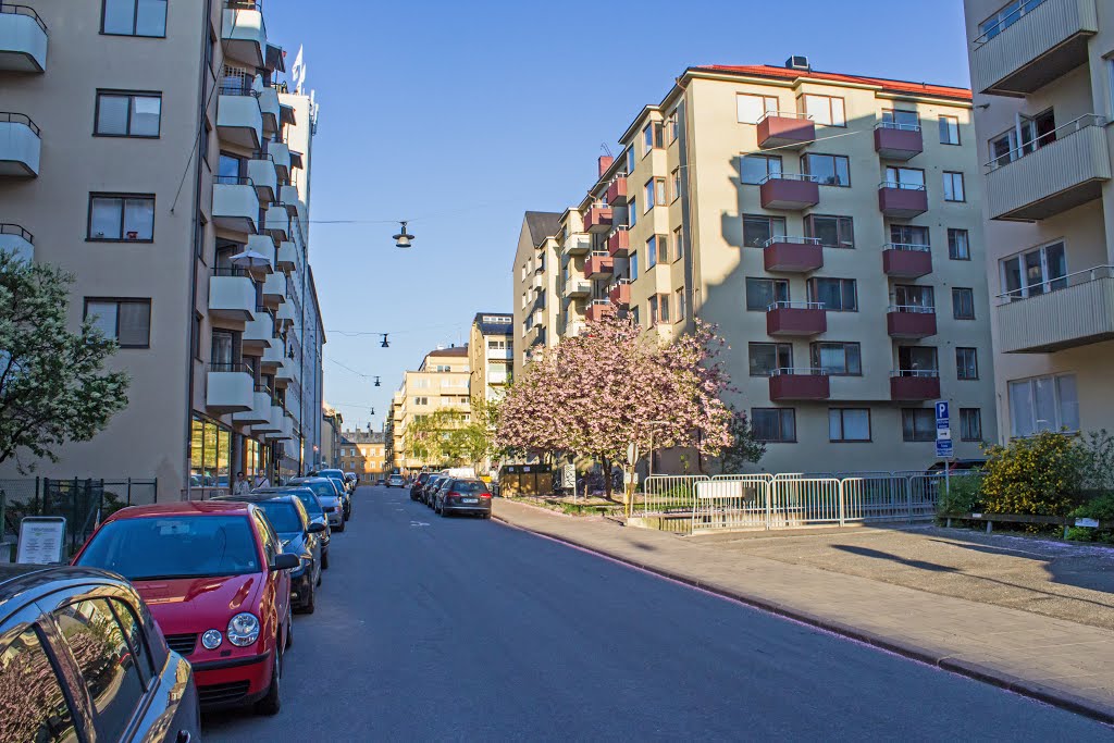 Alströmergatan, 2014-05-20 by Gunnar Henriksson