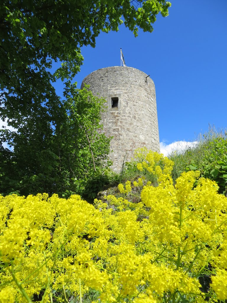 Burgruine Hohenfels by gehsport