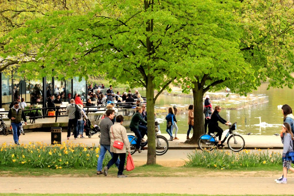 Hyde Park, Londres, Reino Unido by Margarida Bico