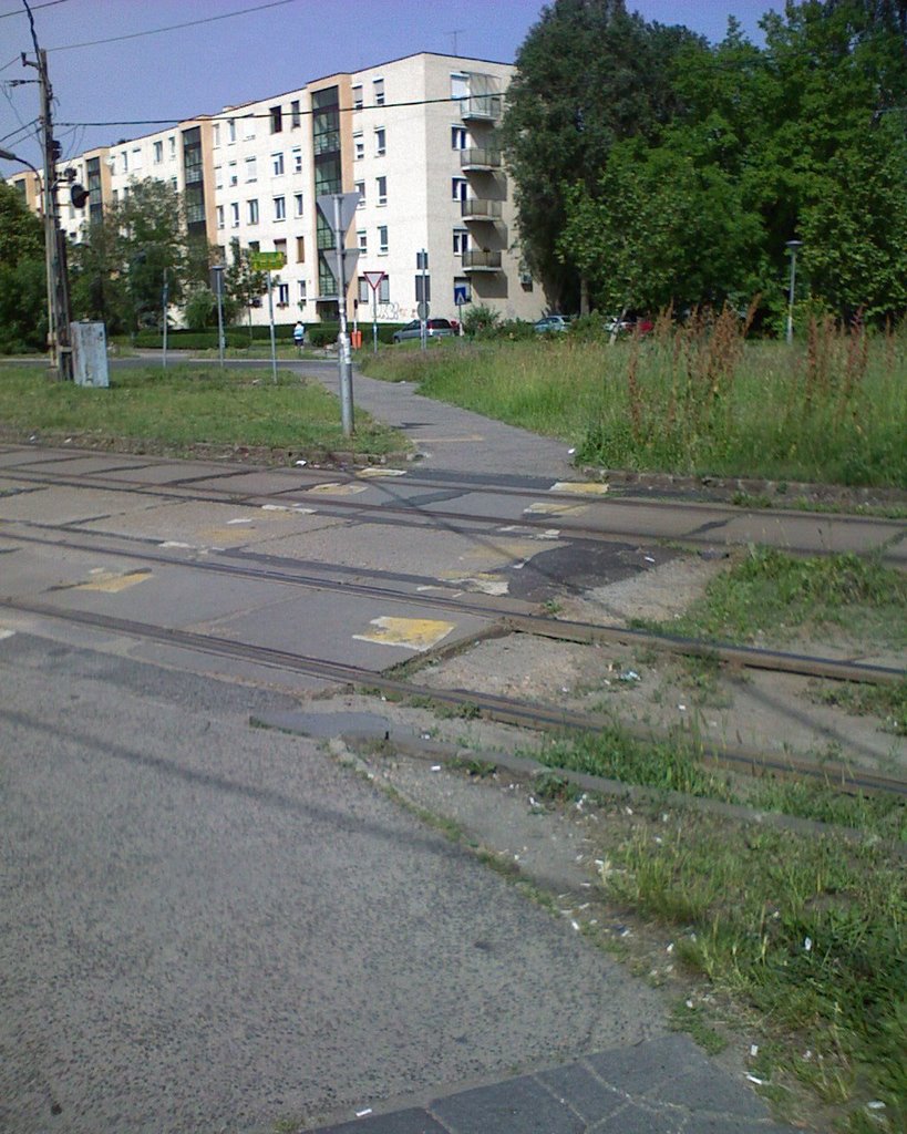 Cycle track by timurlan