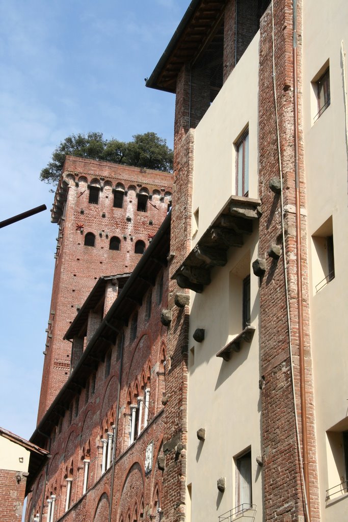 Lucca - Torre dei Guinigi by Imelda & Arie