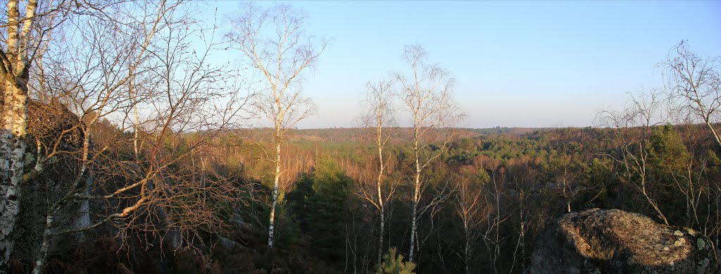 Vue sur la foret (Foret de Fontainebleau) by gerard VERITE