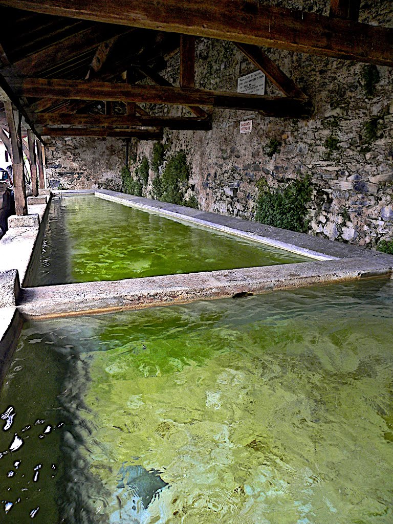 Ancian lavador - La Beceda de Lauragués, vilatge martiri de la crosada francesa contra los catars d'Occitània centrala by Franc Bardou