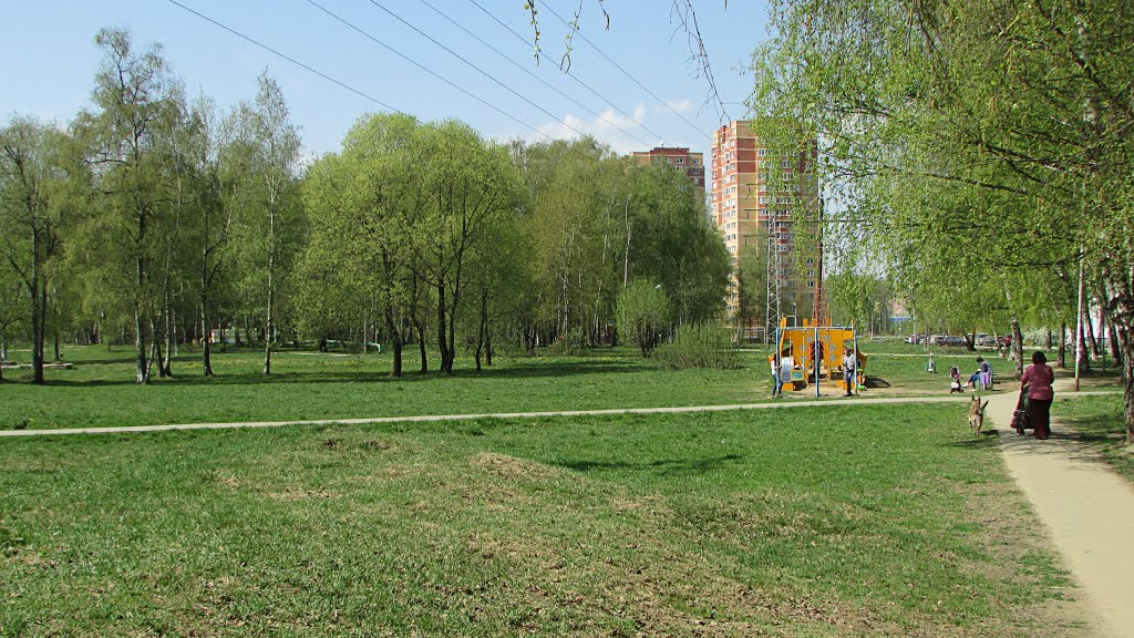 Meadow near Lenina st. May 2014. / Поляна возле улицы Ленина. Май 2014. by Lyseria