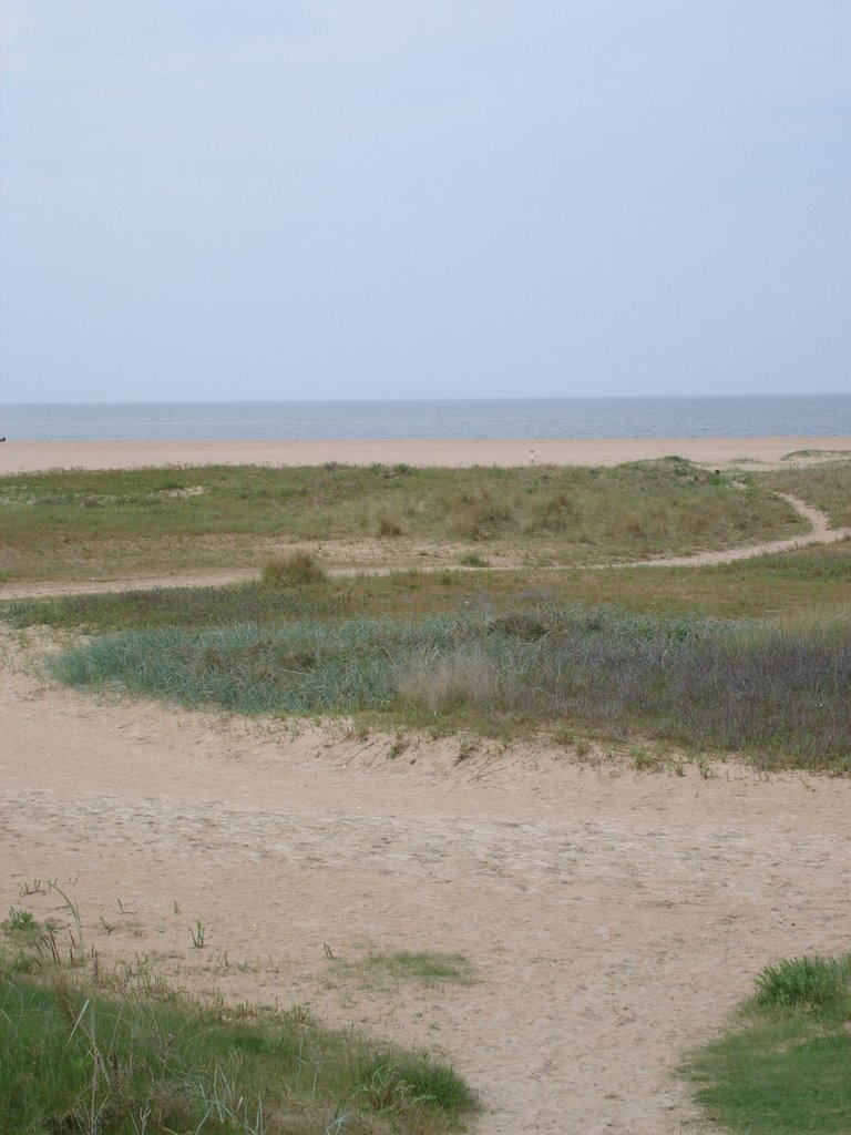 Littel dune, beach Riva-Bella by cbjo