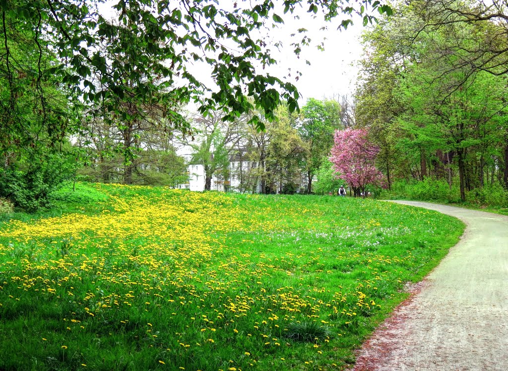 Chemnitz - Frühling im Stadtpark by Rudolf Henkel