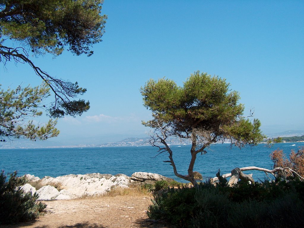 Îles de Lérins, Cannes, France by Ivan Moerman