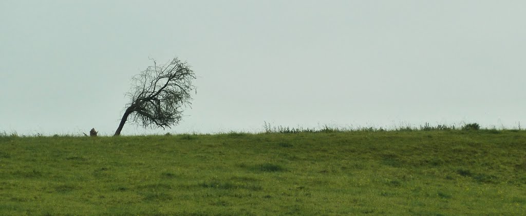 Famechon, la campagne by Pierre-André Leclercq