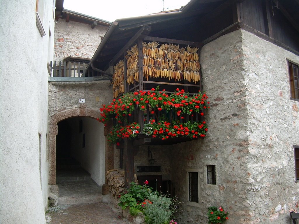 MOLVENO-Pannocchie,fiori e legnaia by cannuccia