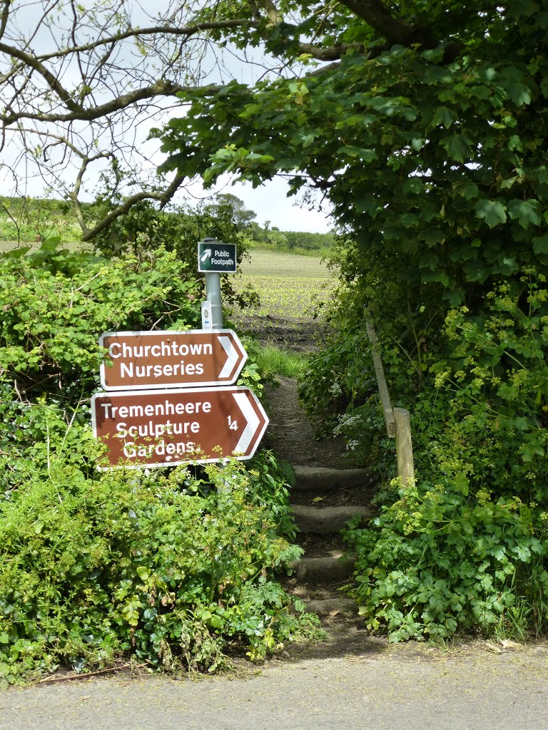 Roadside Footpath. by snowy2012