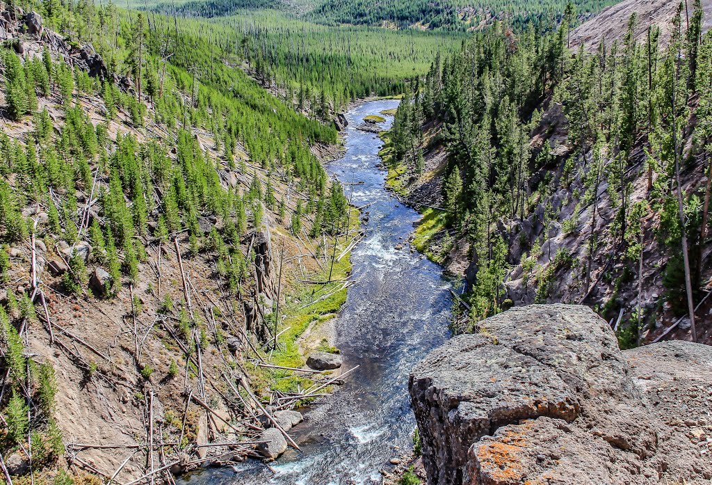 Gibbon River, Yellowstone NP, Wyoming by txbo