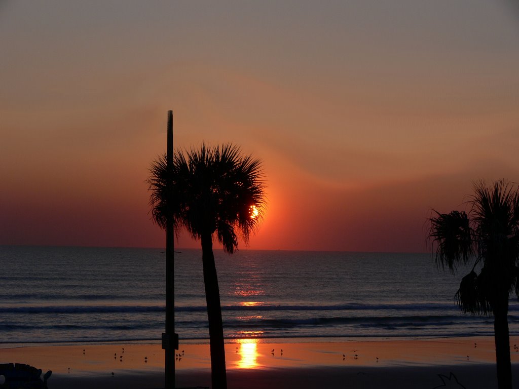 Rise and Shine - Daytona by Pete Scotti