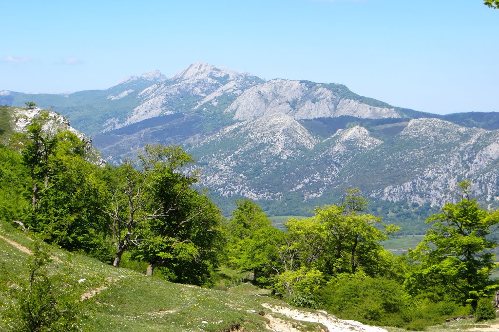 Desde la Sierra de Opakua(Álava),se ve el Parque Natural de Aizkorri Aratz(Guipúzcoa). País Vasco. Spain. by María Fernando