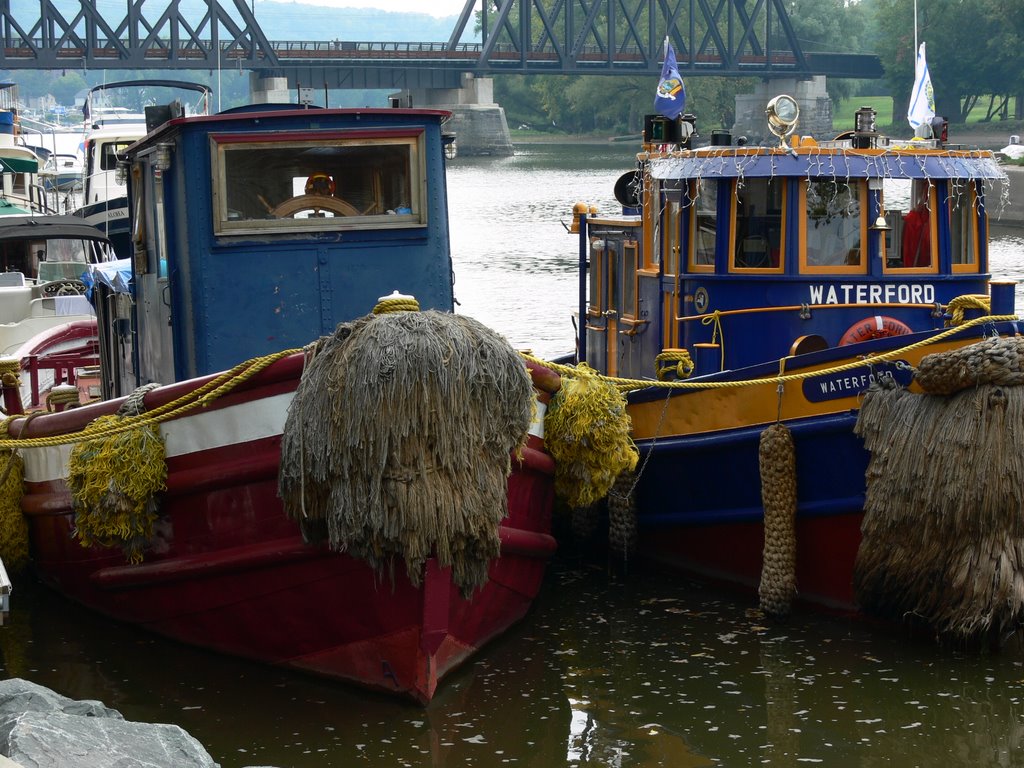 Tugs at Waterford by Pete Scotti