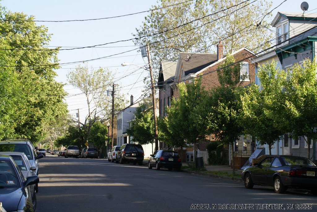 LOOKING DOWN LAMBERTON ST TRENTON, NJ by ANGEL N RODRIGUEZ