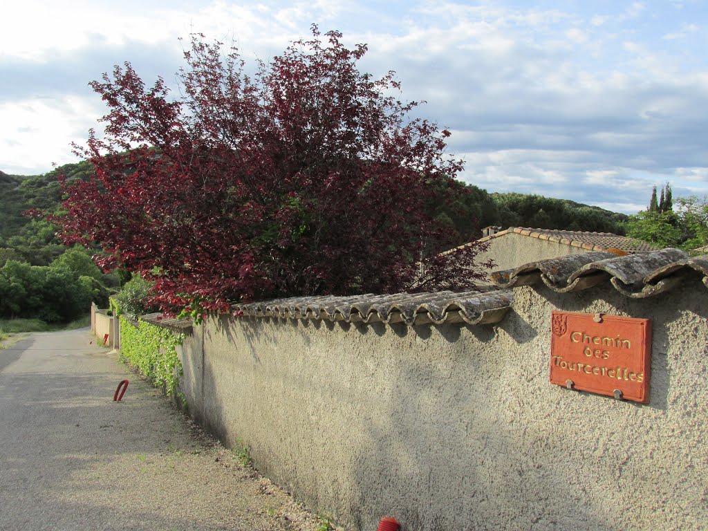 Murles - Chemin des Tourcerelles by ZoricA