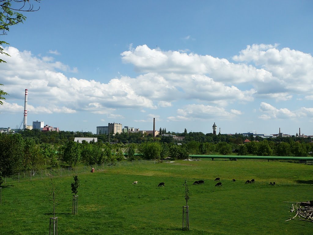 Plzeň by petrkold