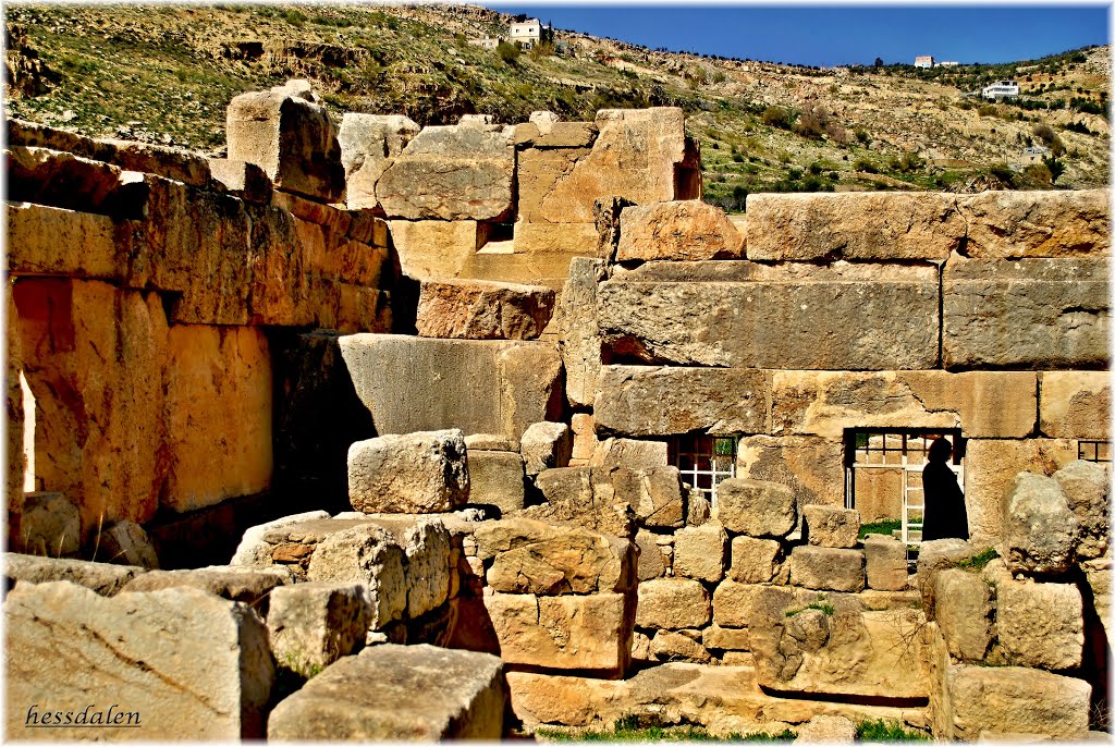 Iraq Al-Ameer Palace, Jordan. by hessdalen