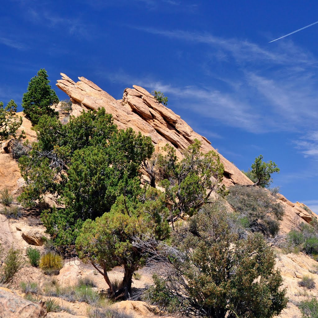 USA. UT. Capitol Reef NP. Hard Rock Cafe alongside the Burr Trail Road. Just with no cafe today :) by ®mene