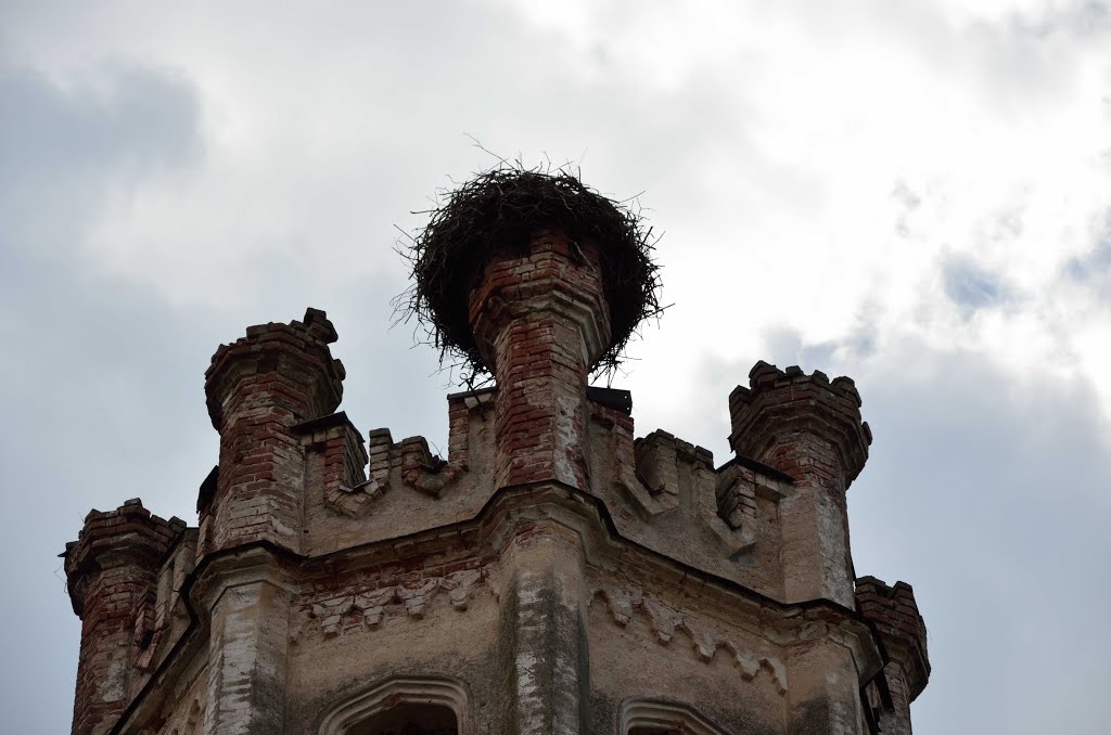 Ruins of Odziena manor, LV by Rudolph LV