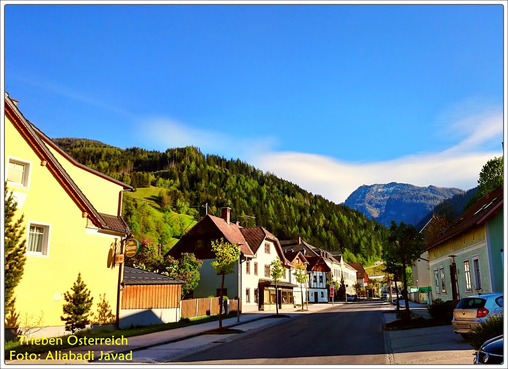 Foto: Aliabadi Javad - Trieben Österreich by Aliabadi Javad (Tajmah)