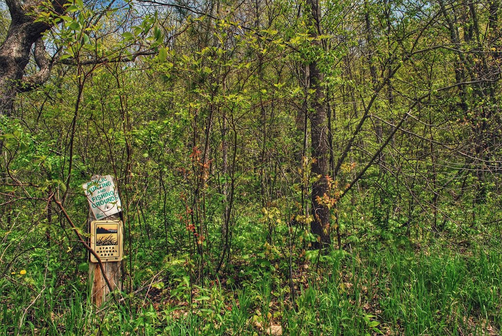 Portland Maples State Natural Area by Aaron Carlson