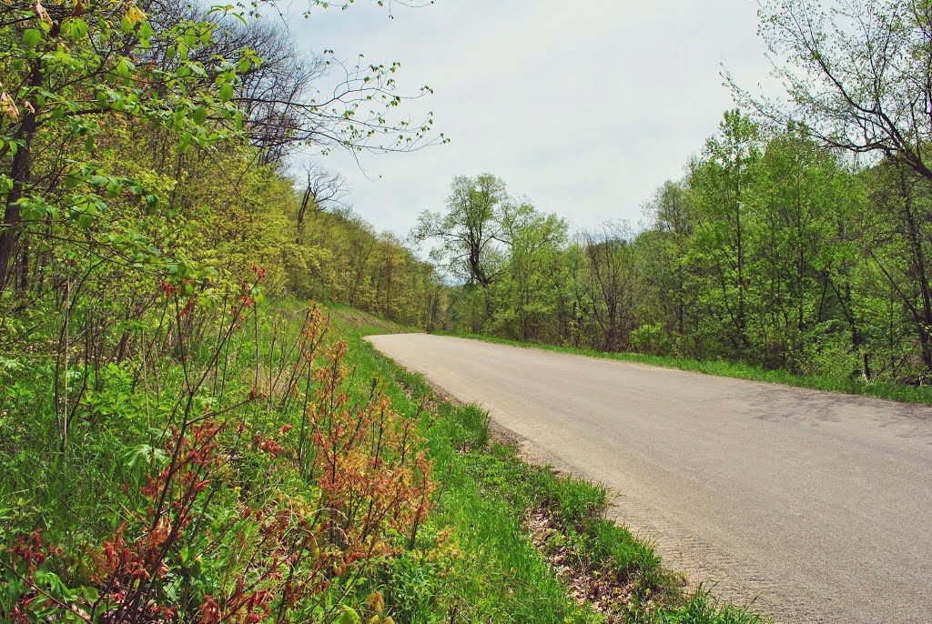 Oboe Ave. by Aaron Carlson