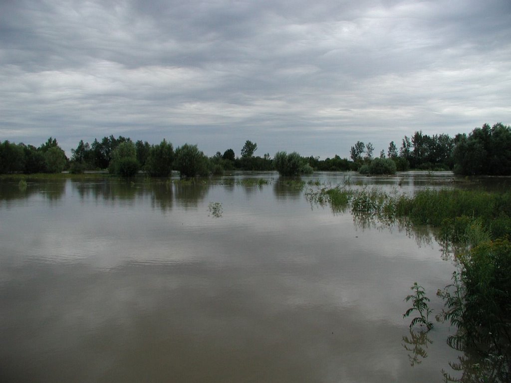 Powódź widok z mostu na Wisłoce by zbychu1953