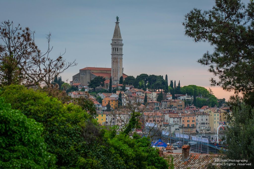 Rovinj by Milovan Mićo Kovačević