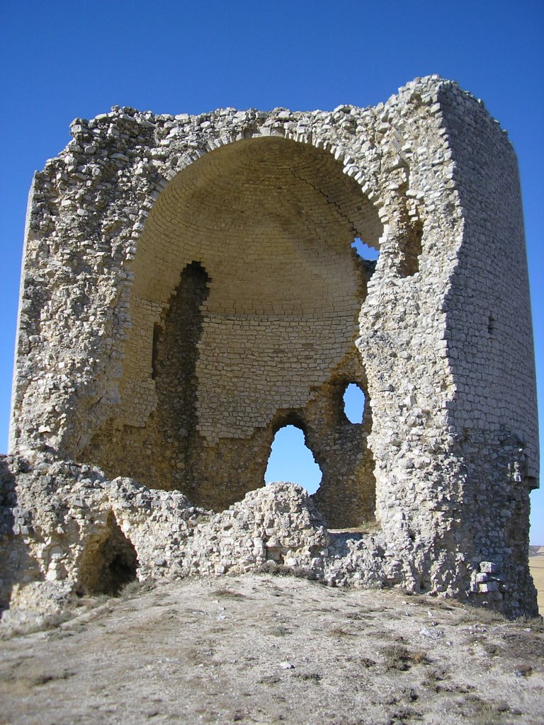 Castillo de Mota del Marqués (Vista interior) by josiete