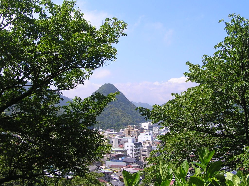 伊豆・下田　下田公園からの景色 by www.izurainbow.com