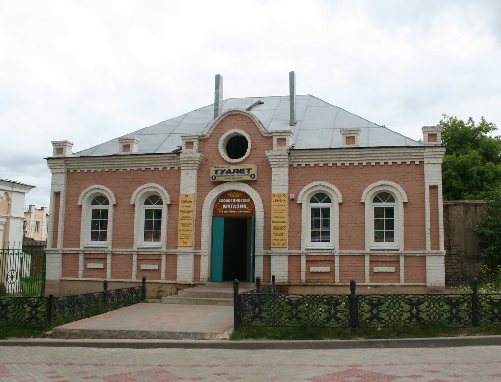 Yelets, Lipetsk Oblast, Russia by Andris Malygin