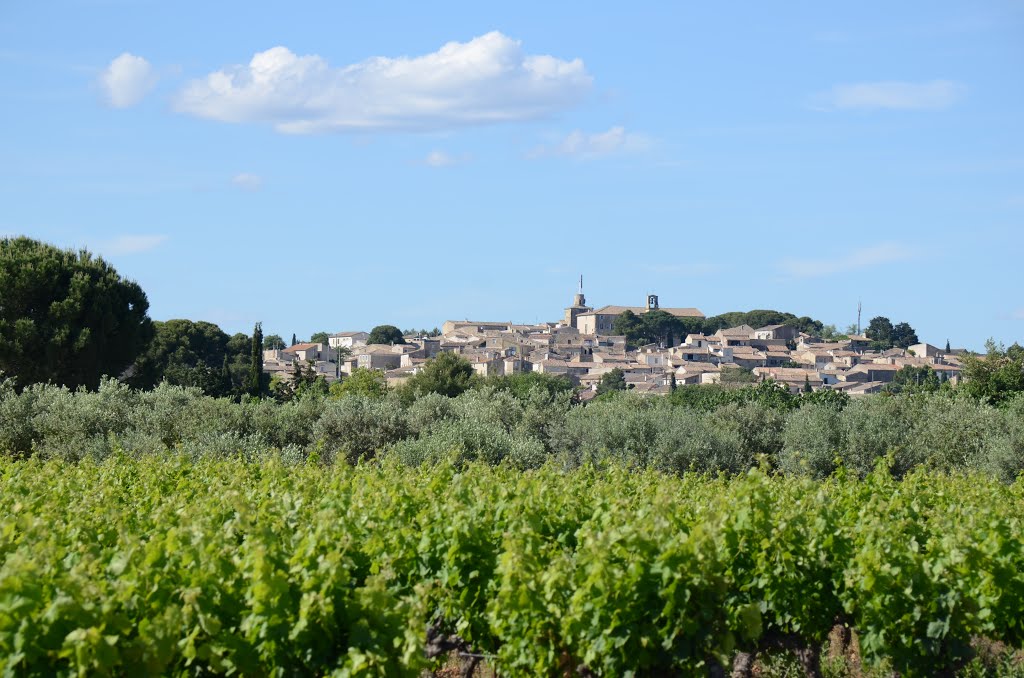 Panorama view of Gallargues at the hill by Henq