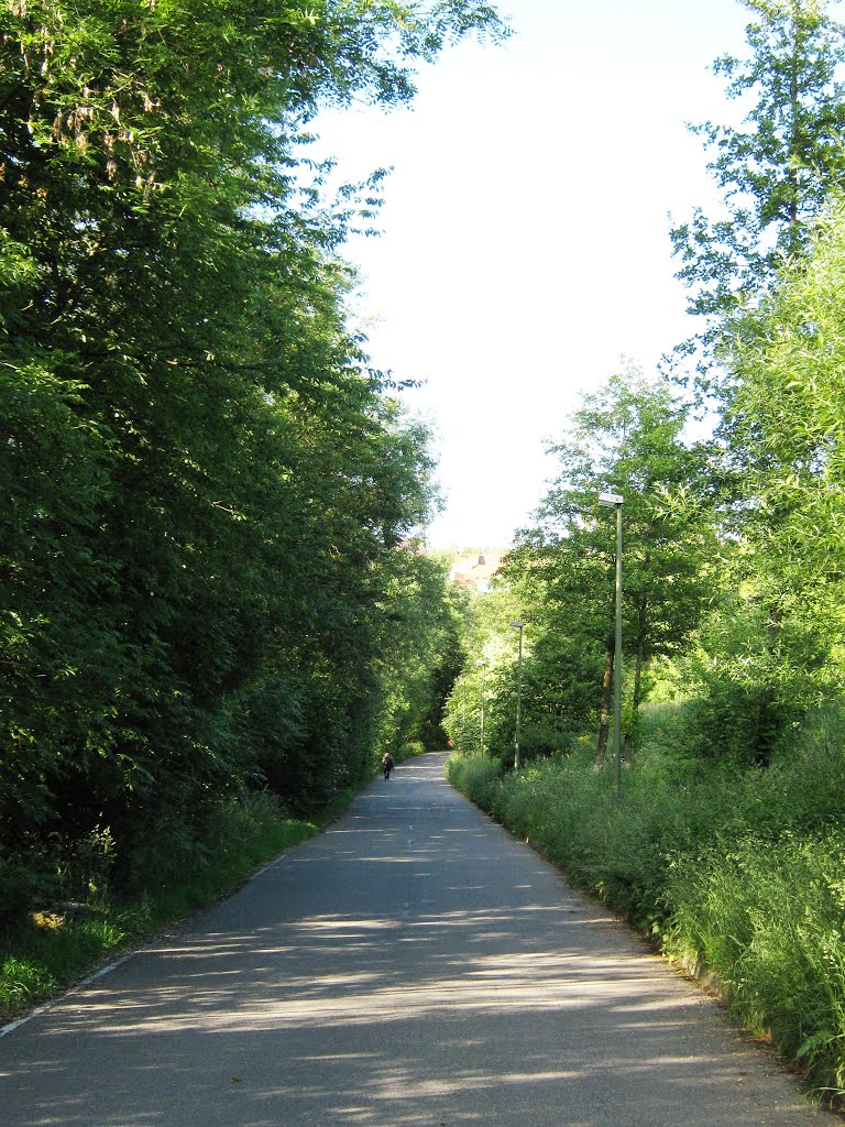 Mühlstraße, die parallel zu Glems verläuft, ist Fahrrad- und Spaziergangweg by Kurt Delikurtev